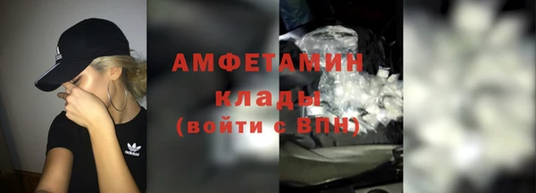 трава Сатка