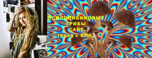 трава Сатка
