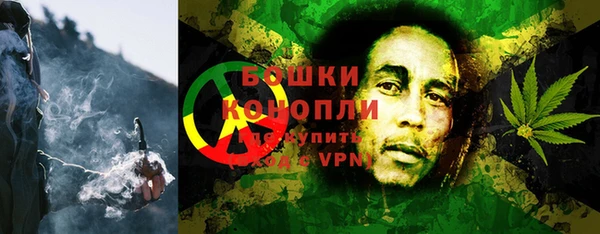 трава Сатка
