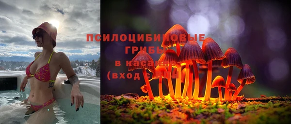 мдпв Сафоново