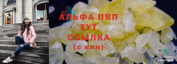 трава Сатка